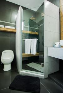 a bathroom with a toilet and a sink and a mirror at Nidah Condominios in Durango