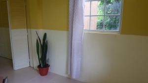 Zdjęcie z galerii obiektu bLu skAii Apt 5minutes2 Rodney Bay by car w mieście Gros Islet