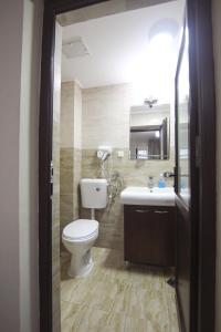 a bathroom with a toilet and a sink at Teju Hotels in Slănic