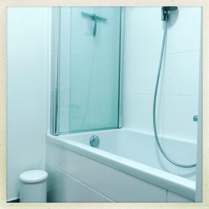 bagno con doccia e servizi igienici. di Cozy two bedroom Apartment near city centre Gent a Gand