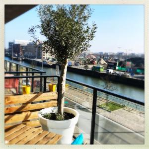 un albero seduto su una panchina sul balcone di Cozy two bedroom Apartment near city centre Gent a Gand