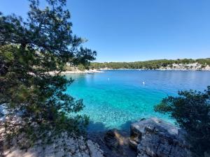 Fotografie z fotogalerie ubytování Apartments Kaja v destinaci Milna