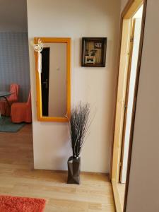 Foto de la galería de Apartman Stanimirović en Zaječar