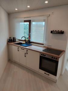 eine Küche mit einem Herd, einem Waschbecken und einem Fenster in der Unterkunft Ferienwohnung Familie Aestel in Altensteig