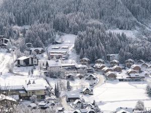 WALDVILLA Bad Kleinkirchheim v zimě