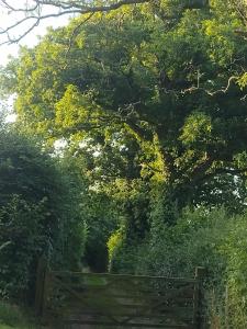 Příroda nedaleko prázdninového domu