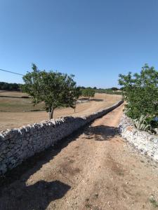 una pared de piedra junto a un camino de tierra en Masseria Catucci Agriturismo, en Alberobello