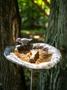 a bird feeder in front of a tree at Stromodomek Vlčková in Zlín