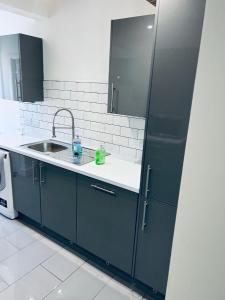 a kitchen with blue cabinets and a sink at 21 ,North Street in Shrewsbury