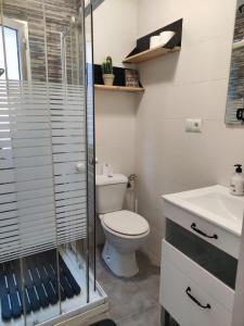a bathroom with a toilet and a glass shower at Apartamento Casa Aurelio in Gijón