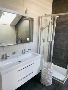 a bathroom with a white sink and a shower at Magnifique maison avec vue sur lac Léman in Saint-Legier-La Chiesaz