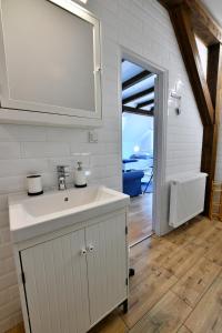 a bathroom with a sink and a mirror at MY WAY apartman i sobe in Saborsko +37 photos