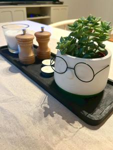 a potted plant with glasses on a tray on a table at LE-Host in Leipzig