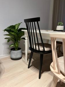 einem schwarzen Stuhl vor einem Schreibtisch mit Pflanze in der Unterkunft LE-Host in Leipzig