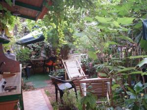 Vonkajšia záhrada v ubytovaní The Garden