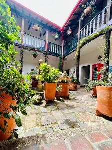 un patio con muchas macetas en macetas en Hotel San Gabriel, en El Cocuy