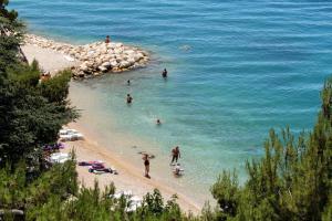Fotografia z galérie ubytovania Apartments by the sea Podgora, Makarska - 13216 v Podgore