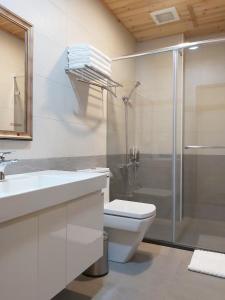 a bathroom with a shower and a toilet and a sink at JINGTONGYULI BnB in Yuli