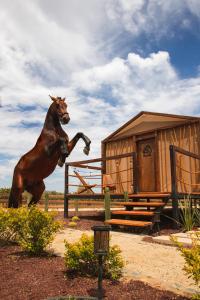 a statue of a horse jumping over a fence at Indomito Resort & Hotel Boutique in Valle de Guadalupe
