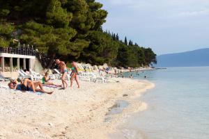 Fotografia z galérie ubytovania Apartments with a parking space Gradac, Makarska - 16263 v destinácii Gradac