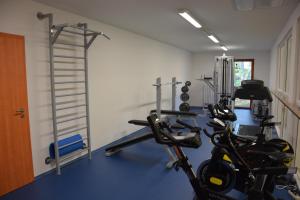 Fitness centrum a/nebo fitness zařízení v ubytování Sport Klub Hvozd