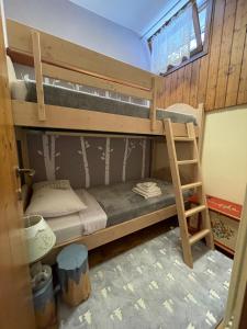 加廖的住宿－Attico CB Camona - Gallio，一间卧室设有两张双层床和梯子