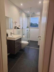uma casa de banho com um WC, um lavatório e um chuveiro em Apartment near Bonn/Cologne with nature access em Troisdorf