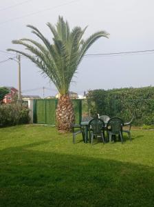 vier stoelen en een tafel in een tuin met een palmboom bij Apartamento Playa de Coto in Barreiros