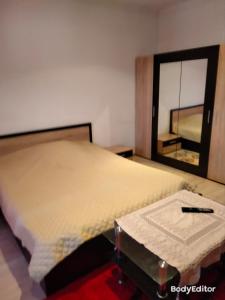 1 dormitorio con 1 cama grande y espejo en Apartament Lili, en Timisoara