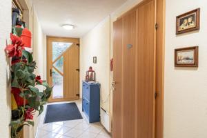 a hallway with a blue cabinet and a door at Heimeliges Apartment in den Bergen in Bad Kleinkirchheim