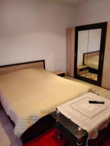 ティミショアラにあるApartament Elenaのベッドルーム(大型ベッド1台、鏡付)