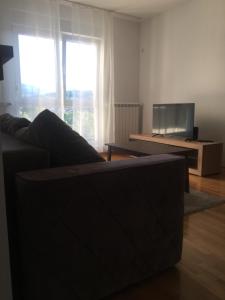 TV a/nebo společenská místnost v ubytování Cool Apartments with FREE PARKING