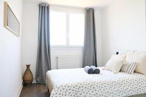a bedroom with a bed with a large window at Air'BABY - 1 à 6 PERSONNES - Colomiers Centre in Colomiers