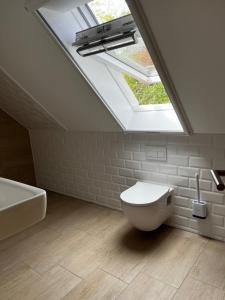 a bathroom with a skylight and a toilet and a sink at Scheune 65 in Bad Frankenhausen