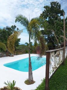 a pool with a palm tree next to a fence at OcamOcam Azur Inn in Busuanga