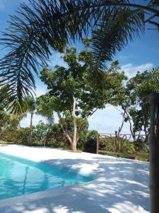una piscina con un árbol en el fondo en OcamOcam Azur Inn en Busuanga