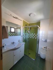 a bathroom with a shower and a sink and a toilet at VILLA MIRSINI in Tsimándria