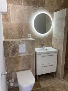 a bathroom with a toilet and a sink and a mirror at Charmant Studio dans villa - parking - jardin in La Seyne-sur-Mer