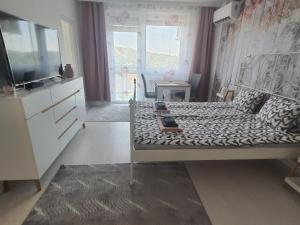 Schlafzimmer mit einem Bett, einem TV und einem Sofa in der Unterkunft Hegyalja Apartman in Miskolc