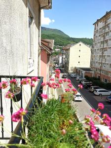 un balcón con flores rosas en una calle de la ciudad en LE PETIT ANGLE APPARTEMENT 2 Pièces, plein centre ville, près de la gare jusqu'à 4 personnes, en Bellegarde-sur-Valserine