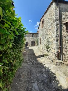 Zdjęcie z galerii obiektu CASA IL MANDORLO NEL CHIANTI w mieście Castellina in Chianti