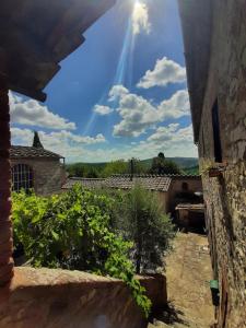 Zdjęcie z galerii obiektu CASA IL MANDORLO NEL CHIANTI w mieście Castellina in Chianti