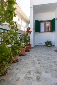Fotografia z galérie ubytovania Naxian Asset v destinácii Naxos Chora