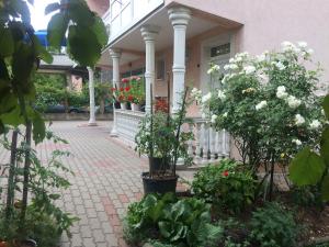 un porche de una casa con flores y plantas en Miki, en Sarajevo