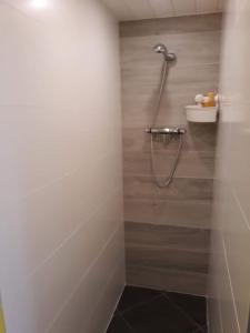 łazienka z prysznicem i drewnianą ścianą w obiekcie Studio Au jardin fleuri w mieście Verviers