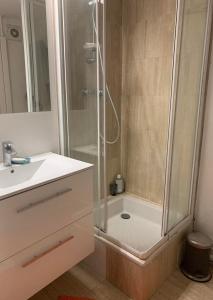 een badkamer met een douche en een wastafel bij Chambres privées dans grand T4-Paris plein-centre in Parijs