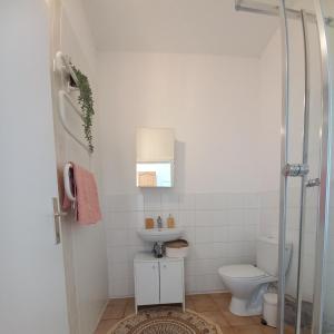 a bathroom with a toilet and a shower at The Old School House in Hermagor