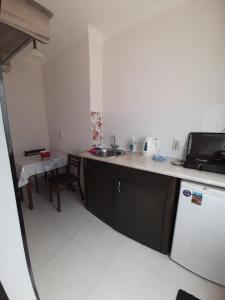Kuchyň nebo kuchyňský kout v ubytování Guesthouse Borjomi