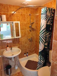 uma casa de banho com uma banheira, um lavatório e um chuveiro em Green house em Čavle