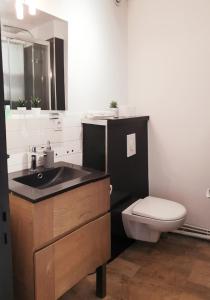 La salle de bains est pourvue d'un lavabo, de toilettes et d'un miroir. dans l'établissement Mon appart Bougnat, à Clermont-Ferrand